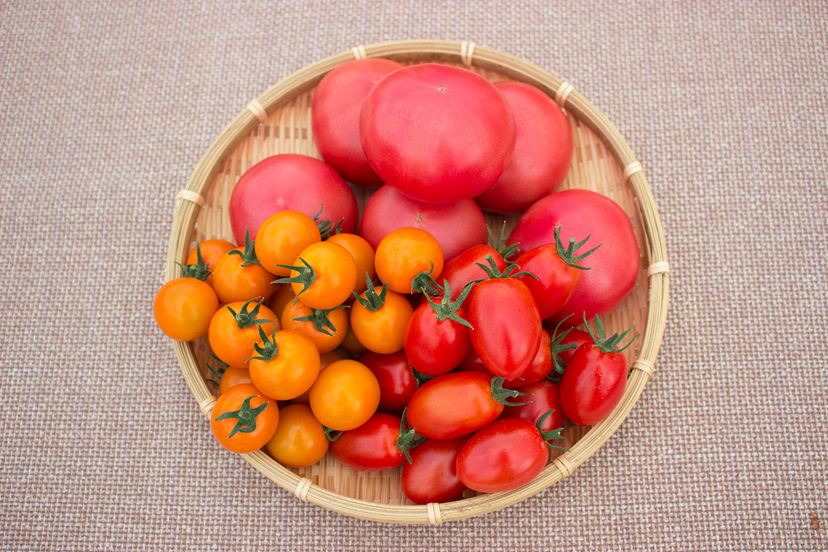 大矢農産のトマト