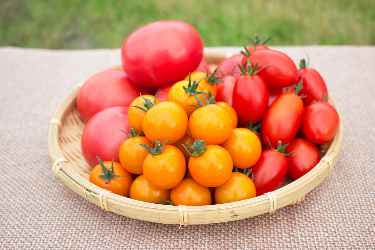 大矢農産のトマト